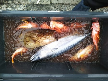 康仁丸・ジギング釣り果